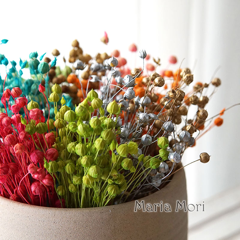 Dried Flower Bulk - 5g/geconserveerde vlasbonen natuurlijke echte bloemen kleurrijke