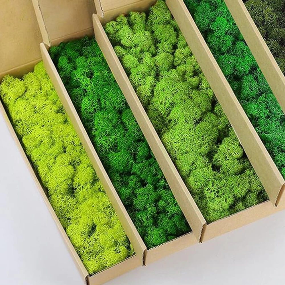 20-200g Kunstmatige Groene Pla - Terrarium Moss Art recensie en prijs