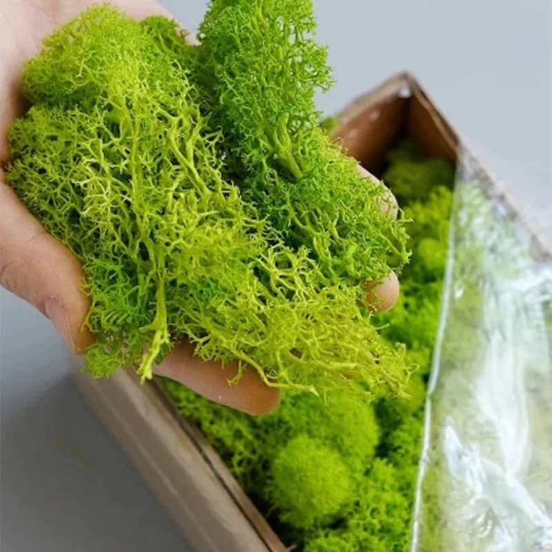 20-200g Kunstmatige Groene Pla - Terrarium Moss Art recensie en prijs