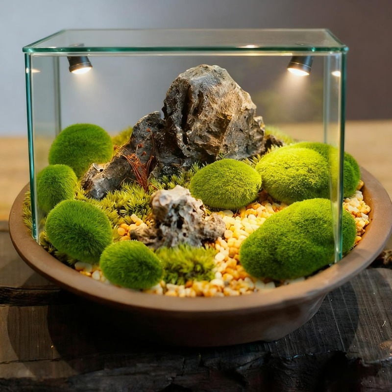 50/5 STUKS Kunstmatige Schuimm - Terrarium Moss Art recensie en prijs