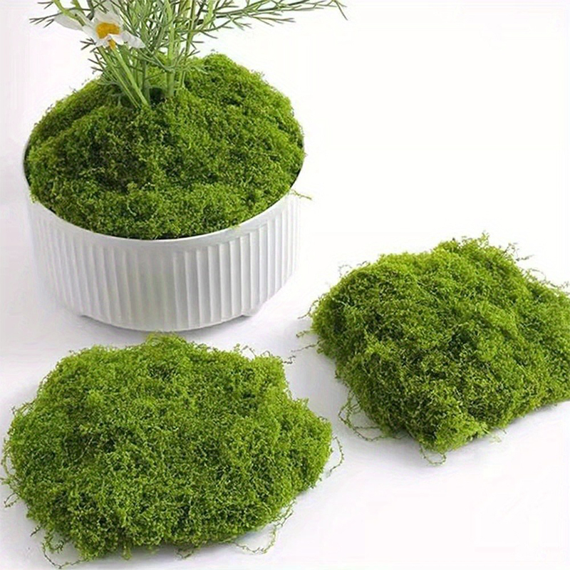 Groen nep mos DIY ambachten gr - Terrarium Moss Art recensie en prijs